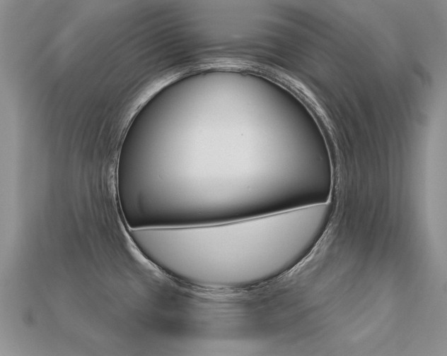 X0000113271433200909101302