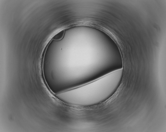 X0000113271434200909101302