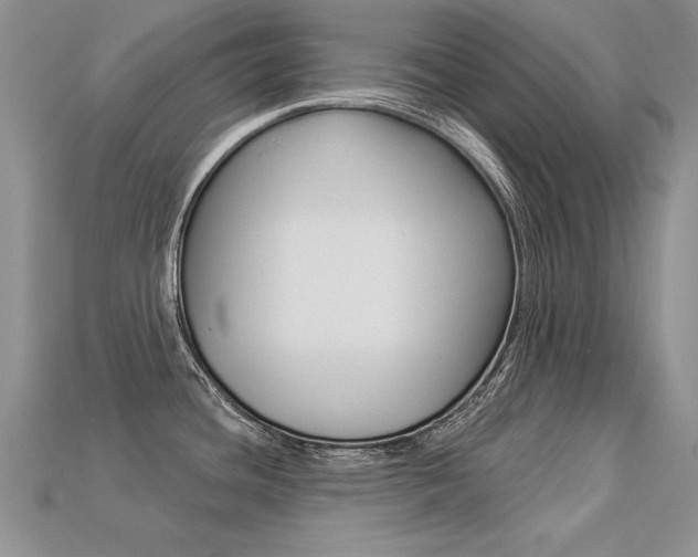 X0000113271436200909101302