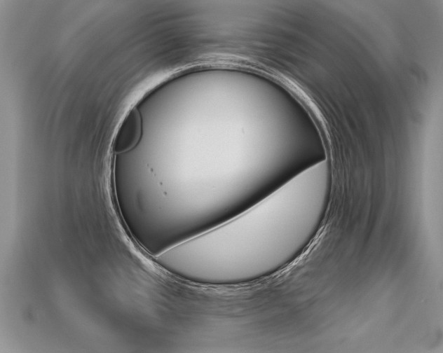 X0000113271437200909101302
