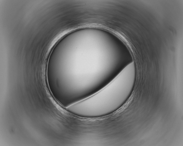 X0000113271438200909101302