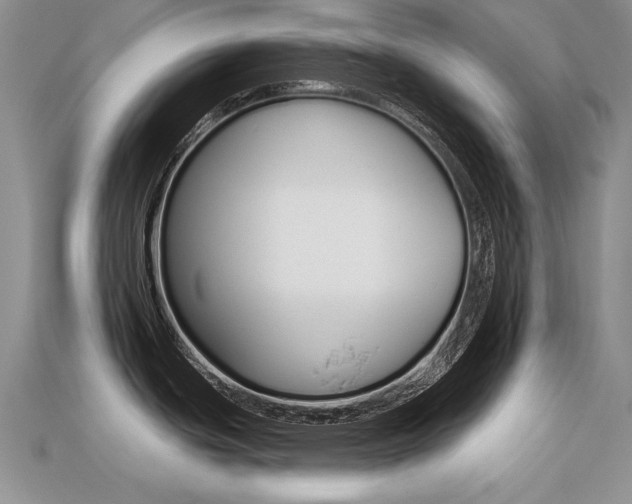 X0000113271439200909101302