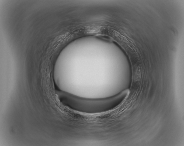 X0000113271441200909101301