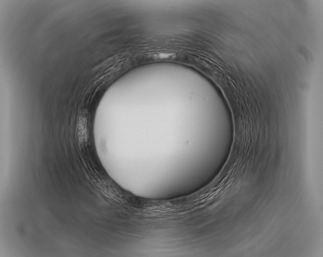 X0000113271442200909101301