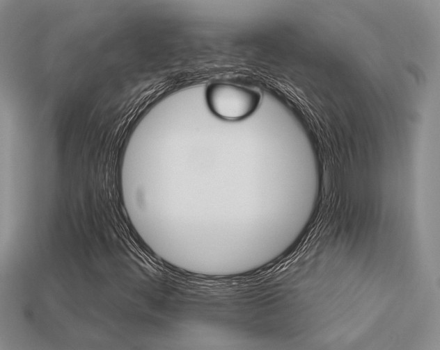 X0000113271444200909101301