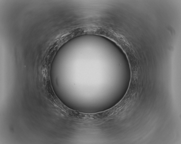 X0000113271445200909101301