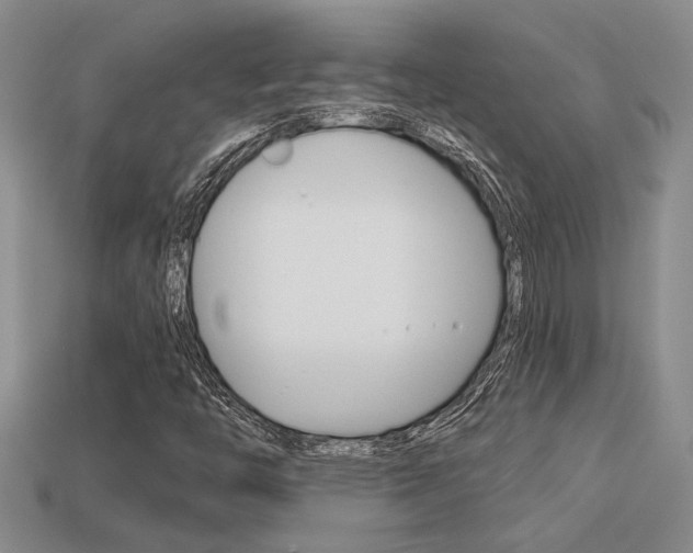 X0000113271446200909101301