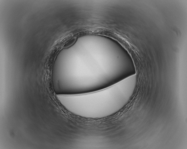 X0000113271447200909101301