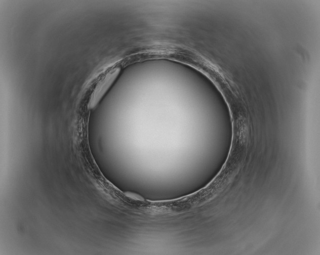 X0000113271448200909101301