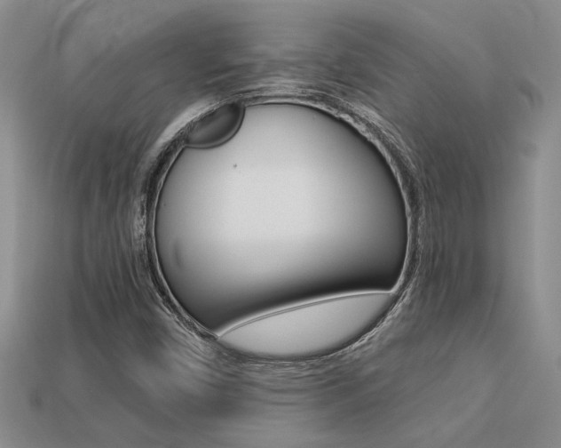 X0000113271450200909101301
