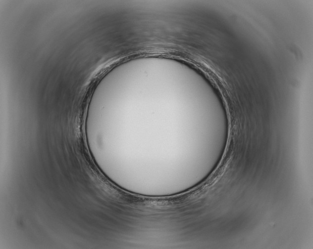 X0000113271451200909101301