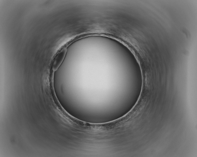 X0000113271452200909101301