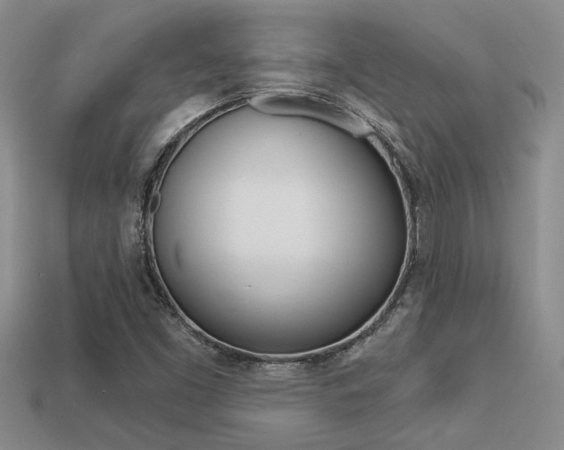 X0000113271453200909101301