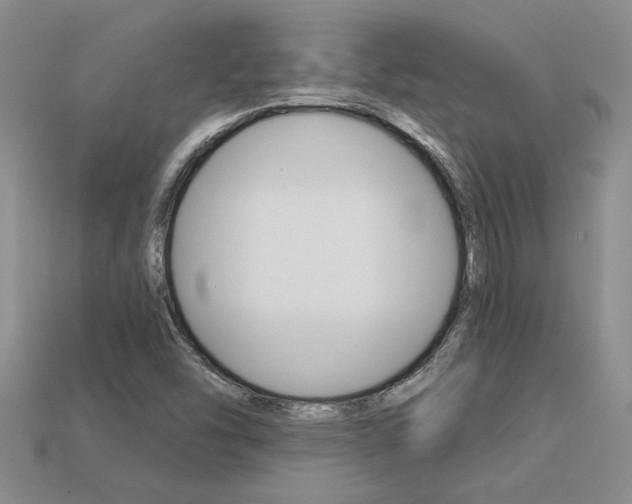 X0000113271454200909101301