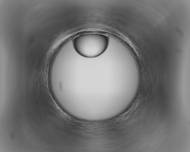 X0000113271456200909101301