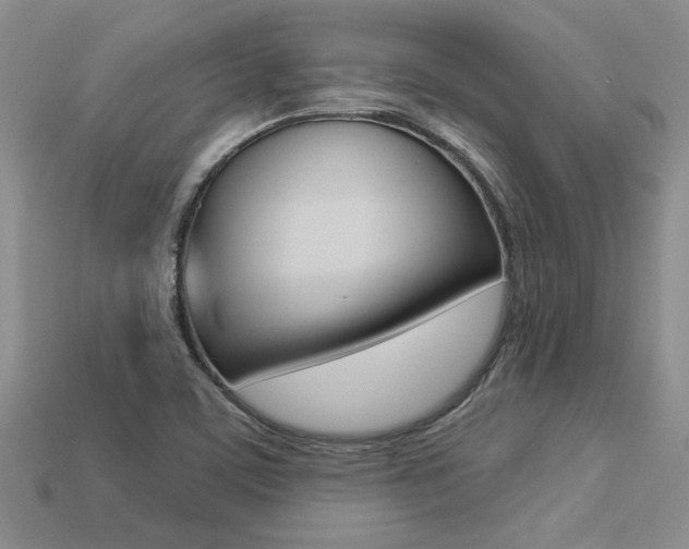 X0000113271459200909101301