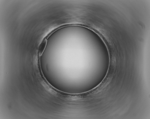X0000113271460200909101301