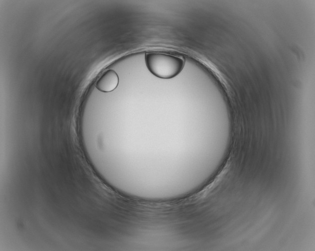 X0000113271461200909101301