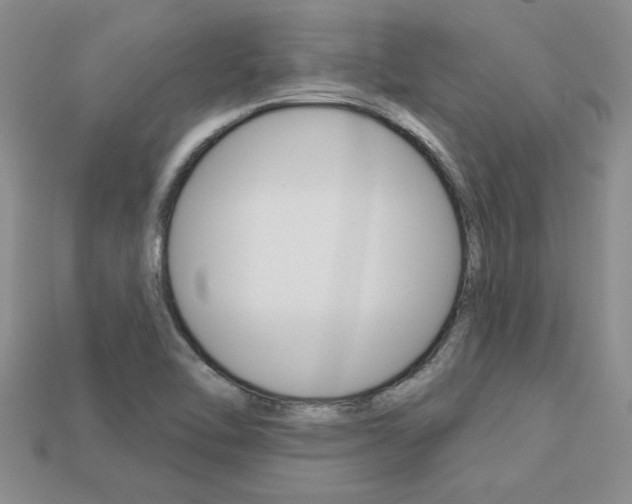 X0000113271462200909101301
