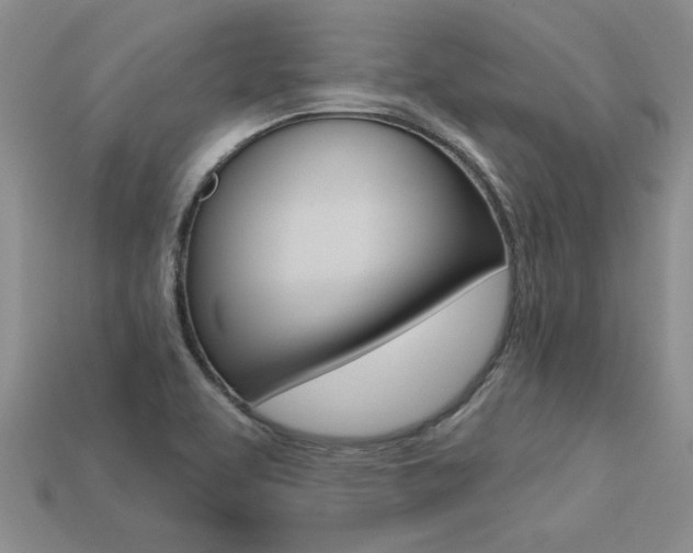 X0000113271463200909101301