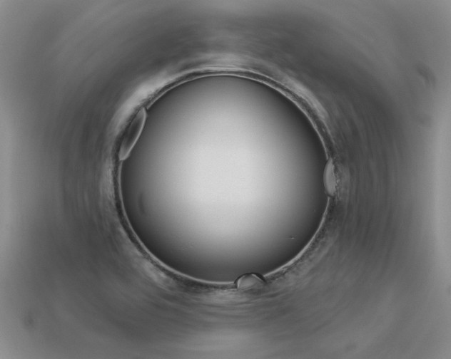 X0000113271464200909101301