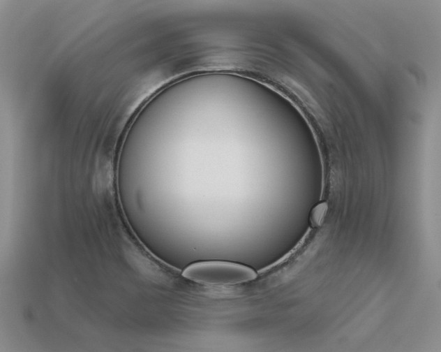 X0000113271465200909101301