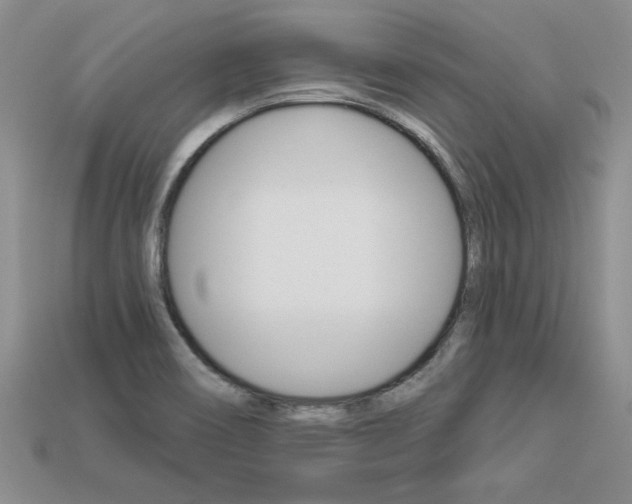 X0000113271466200909101301