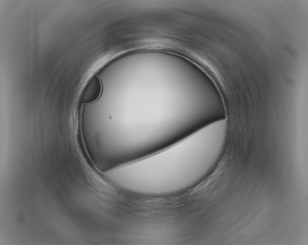 X0000113271467200909101301