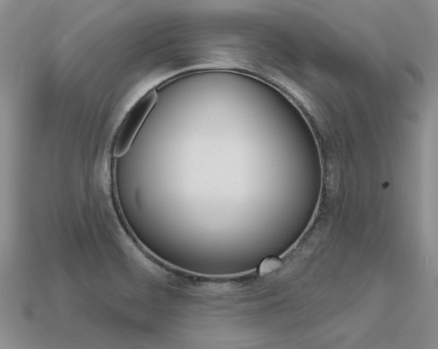 X0000113271468200909101301