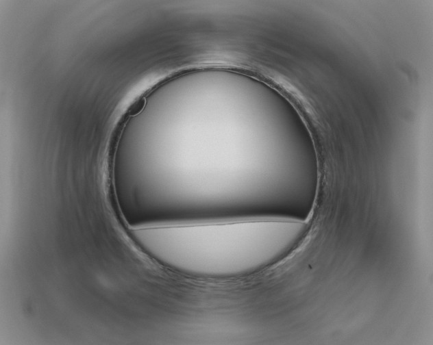 X0000113271469200909101301