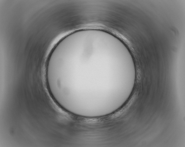X0000113271470200909101301