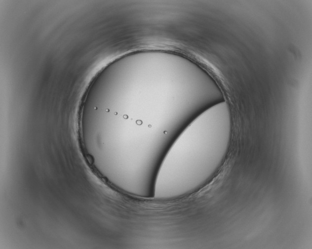 X0000113271471200909101301