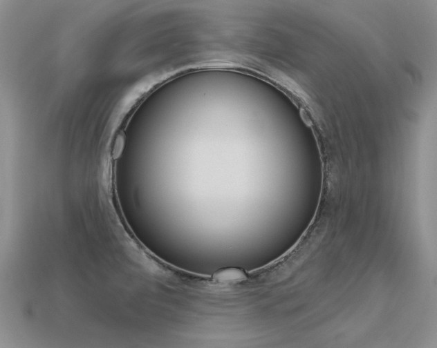 X0000113271472200909101301