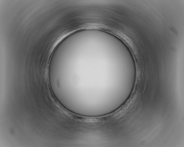X0000113271473200909101301