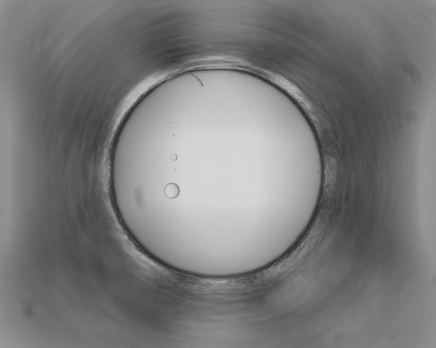 X0000113271474200909101301