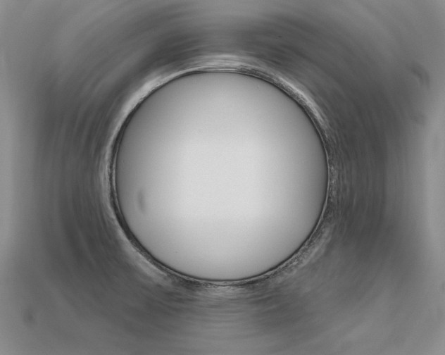 X0000113271475200909101301