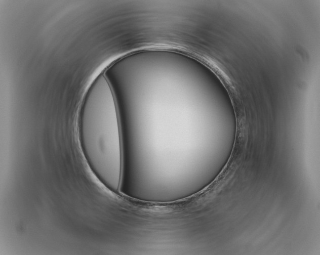 X0000113271476200909101301