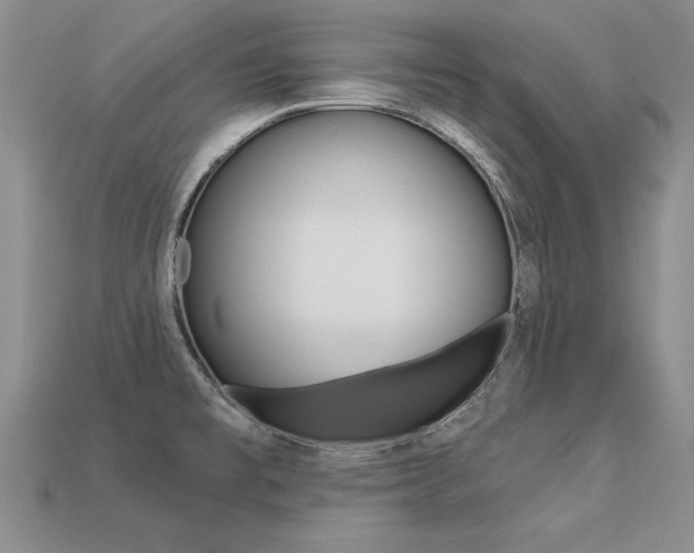 X0000113271477200909101301