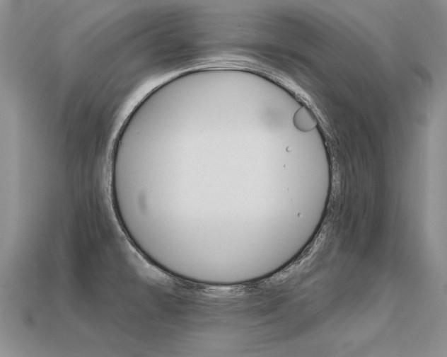 X0000113271478200909101301