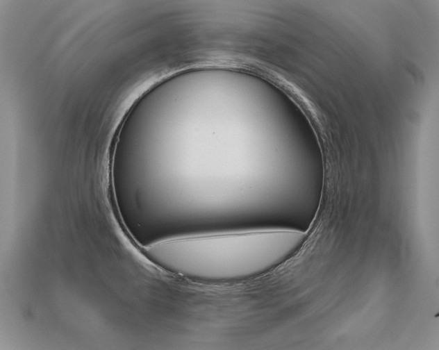 X0000113271479200909101300