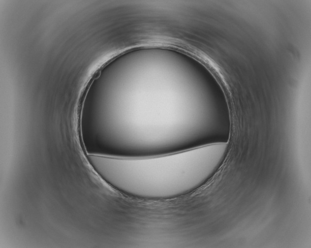 X0000113271480200909101300