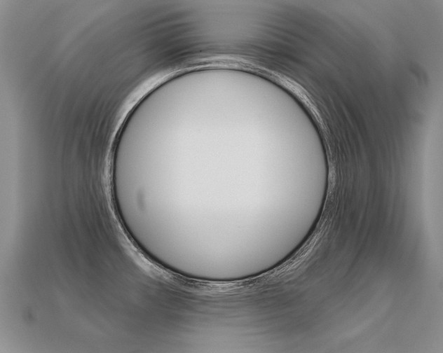 X0000113271482200909101300