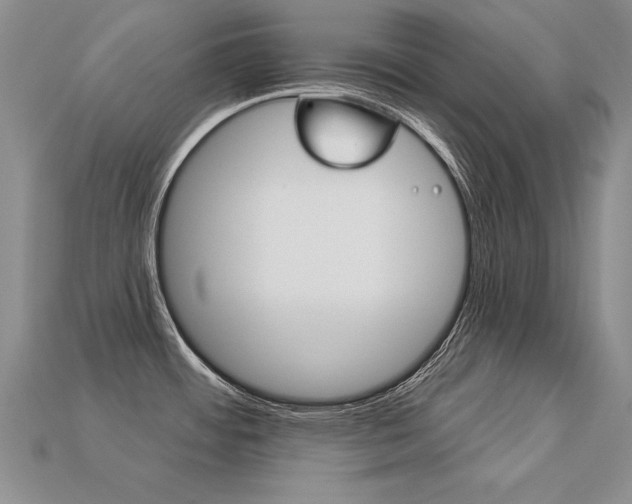 X0000113271484200909101300