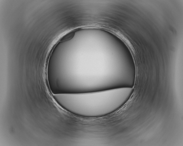 X0000113271485200909101300