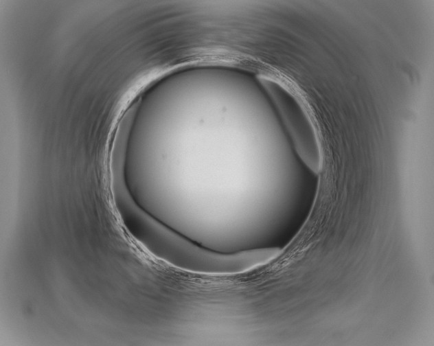 X0000113271488200909101300