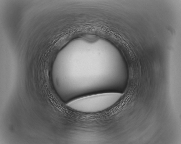 X0000113271489200909101300