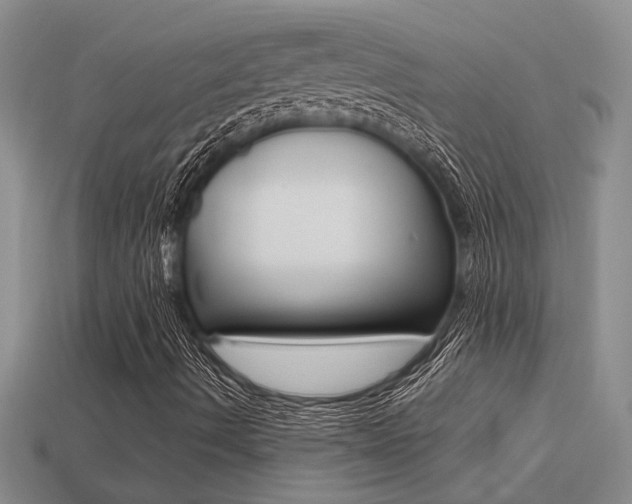 X0000113271490200909101300
