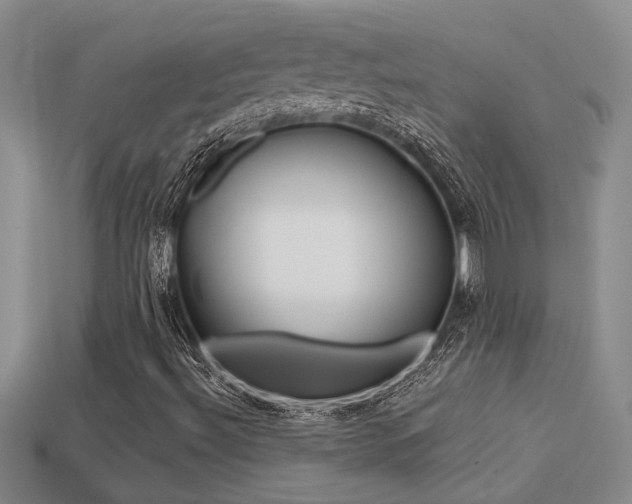 X0000113271492200909101300