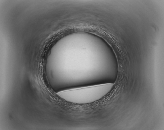 X0000113271493200909101300