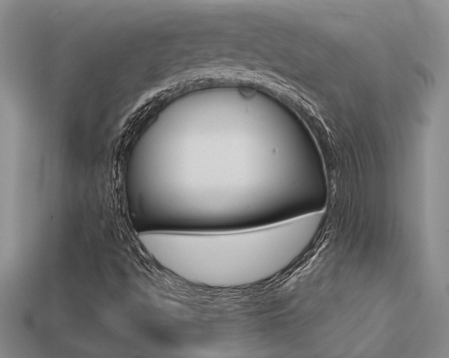 X0000113271494200909101300